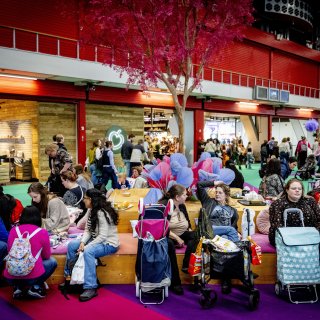 'I'm not moody, I'm feisty': Hormones have their own square at the Household Fair