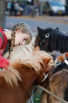 Doek valt voor Wijchense paardenmarkt: ‘We moeten het even laten bezinken’
