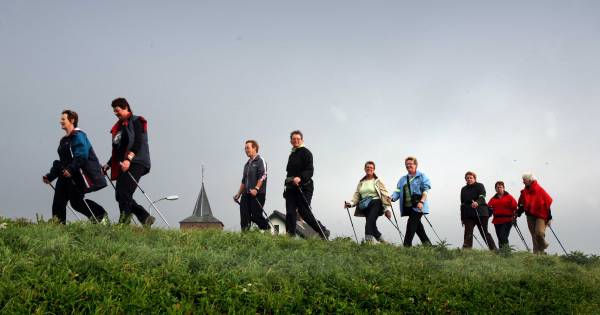 Tientallen miljoenen nodig voor versterken zwakke Rivierdijken in de Betuwe - De Gelderlander