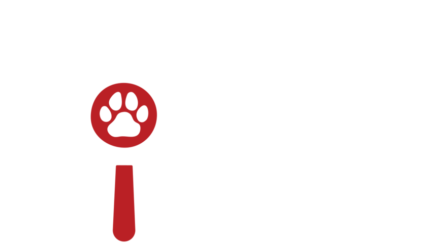 Animal porté disparu