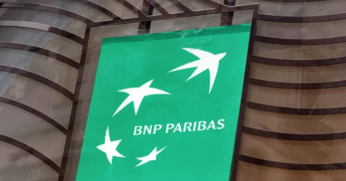 BNP Paribas appelée à rendre des comptes après le financement d’une entreprise polluante | Economie