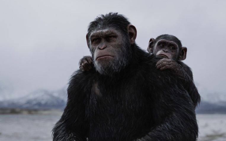 'War For the Planet of the Apes' Beeld imdb