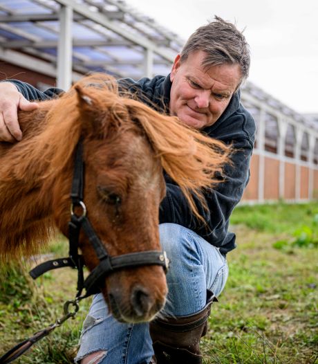 Paardenverzorger die jacht maakte op Beul van Twente vindt paradijs in Ambt Delden: 'Zou Rudolf K. graag spreken’