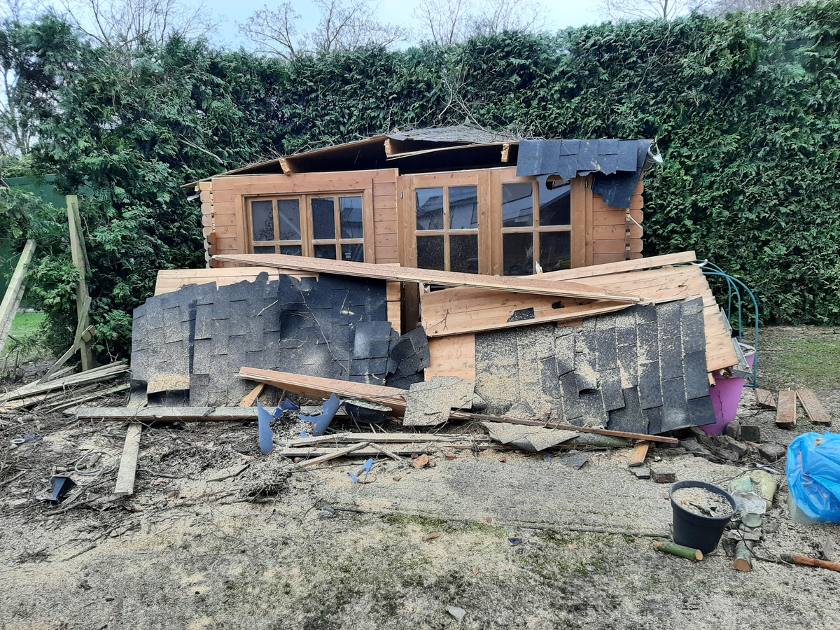 Zit je op de bank, zie je ineens een enorme boom je tuin in donderen