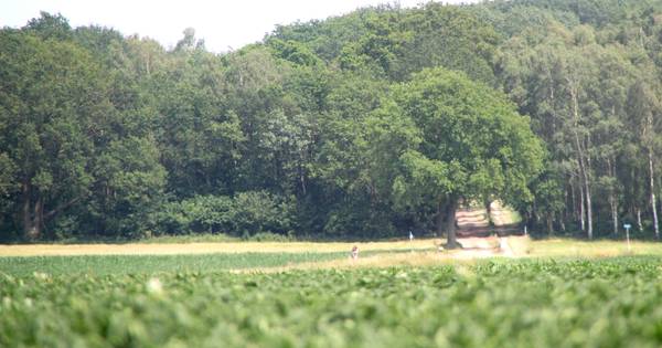 Grimmige sfeer en bedreigingen vanwege plan voor gsm-mast op Needse Berg - Tubantia