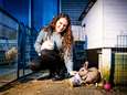 Louise (22) heeft het druk met haar huisdierenservice: ‘Mensen gaan gewoon op skivakantie’ 