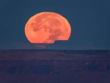 ‘Heelal trakteert deze week op zeldzame blauwe superbloedmaan’