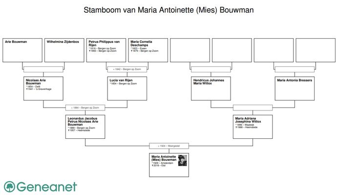 De stamboom van Mies Bouwman