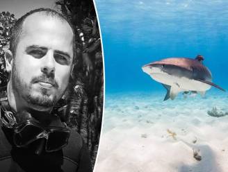 Thomas (34) neemt adembenemende onderwaterfoto’s. En hij heeft een missie