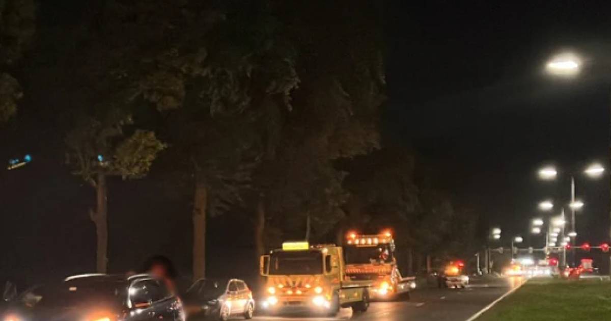 Twee gewonden bij ongeluk met vier auto’s en vrachtwagen N65 bij Vught.
