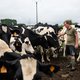 Zien de jonge boeren het nog zitten? ‘Ik zou het niet kunnen missen. Daarom sta ik op de barricades’