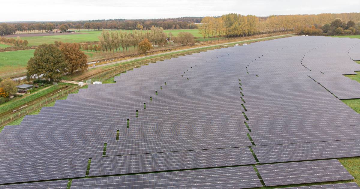 25 kilometer stroomdraad gestolen bij zonnepark in Daarle: duizenden panelen leverden geen energie