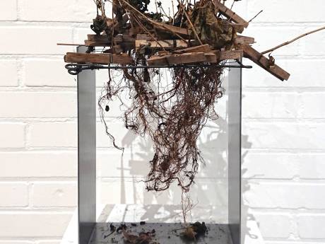 Eclectisch en natuurlijk, werk van Natascha Rodenburg te zien in Hedendaags Kunstkabinet