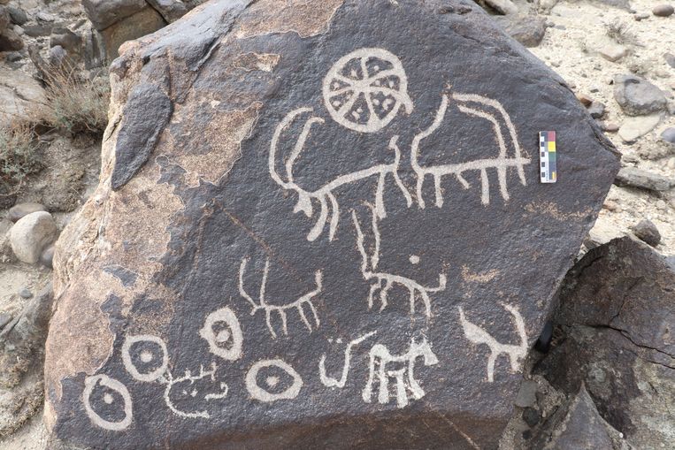 Een rotstekening-assemblage van wilde geiten en nomadische symbolen uit het Karakorumgebergte (1ste millennium voor Chr.). Beeld Abdul Ghani Khan