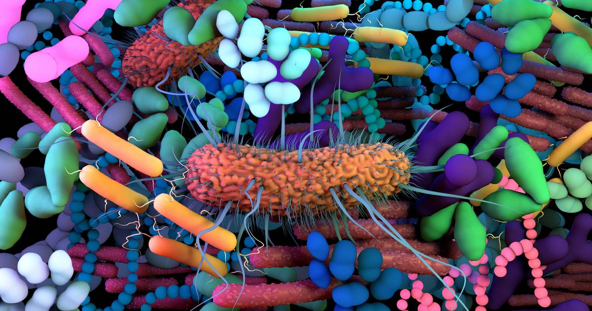 The Afterlife of Bacteria: How Microbes Continue to Live on After Death