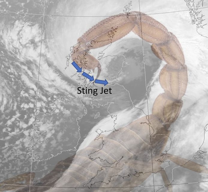 The curl-shaped structure within the storm depression resembles a scorpion sting.  Storm damage occurs when wind speeds decrease.