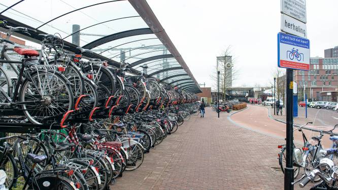 Almelose verslaafde accudief gaat ook bij Bauhaus in Hengelo hardhandig voor de bijl: ‘Ik was doorgeslagen’