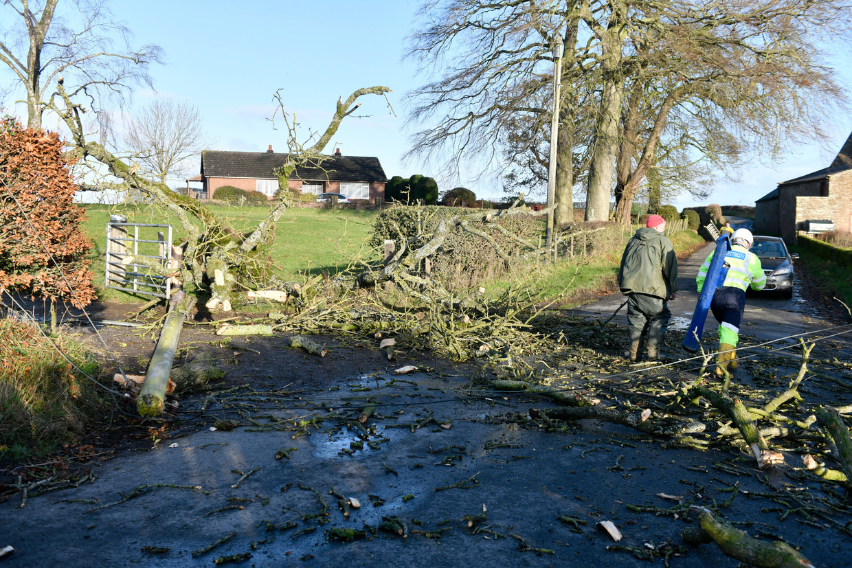 Bomen en elektriciteitskabels zijn vernield in Walton, Cumbria. Beeld Photo News