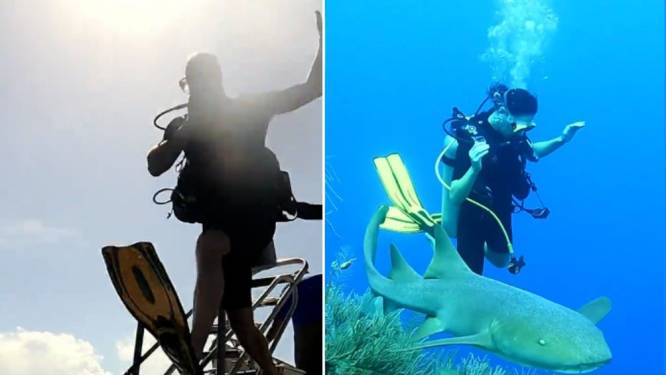 Prins William en Kate Middelton nemen duik tussen de haaien in Caribische Zee: “Het was fantastisch”