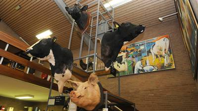 Nationaal Veeteeltmuseum is weer dakloos na afgeketste fusie