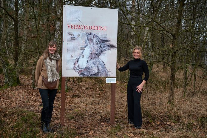 De gemeente Zonhoven mag voor de Poëzieweek rekenen op de creatieve pen van kunstenares DoINK (rechts), die vijf geïllustreerde gedichten maakte voor de gemeente.
