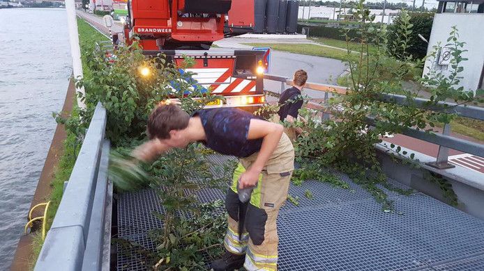 Achteraf bleek het weghalen van onkruid op een belangrijke afrit voor hulpdiensten in Maarssen geen taak van de aannemer te zijn.