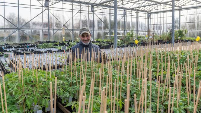 Ontdek de vernieuwde plantenkruiderij van De Loods: “Keuze uit maar liefst 300 verschillende kruiden”