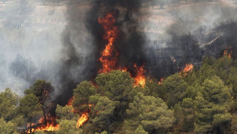 Bosbranden in Valencia Beeld reuters