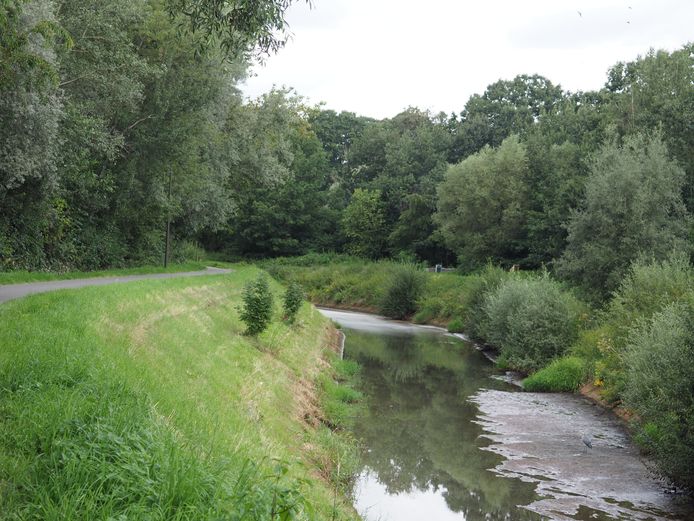 Pasbrugbos in Sint-Katelijne-Waver