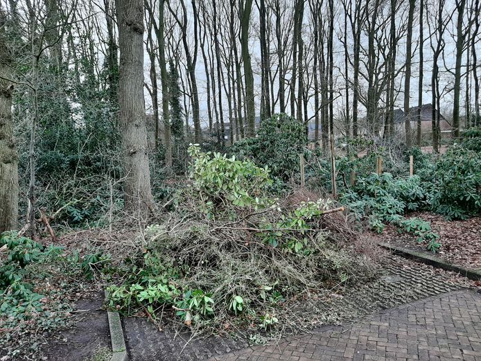 De restanten van de gesnoeide struiken aan De Heemst.