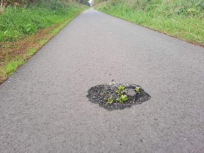 Boom groeit door pas aangelegd asfalt van fietspad: 'Onbegrijpelijk’
