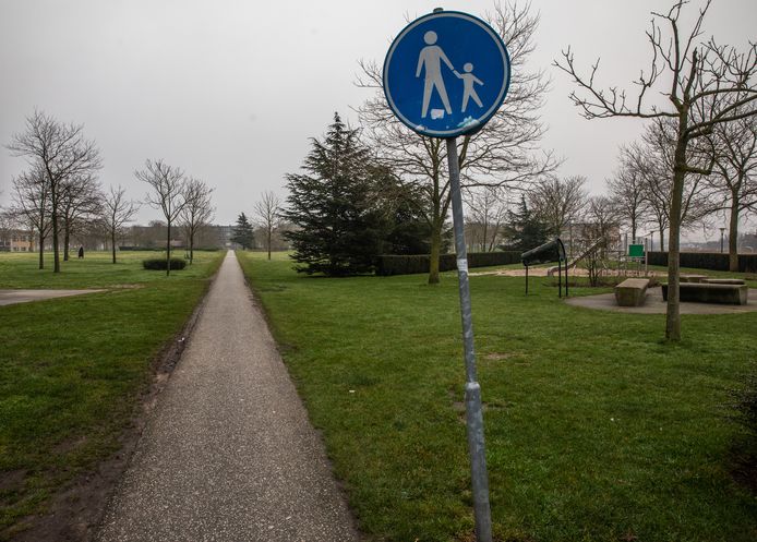 Roberto B. wordt onder andere verdacht van een beroving in het Twistvlietpark in Zwolle, afgelopen zomer.