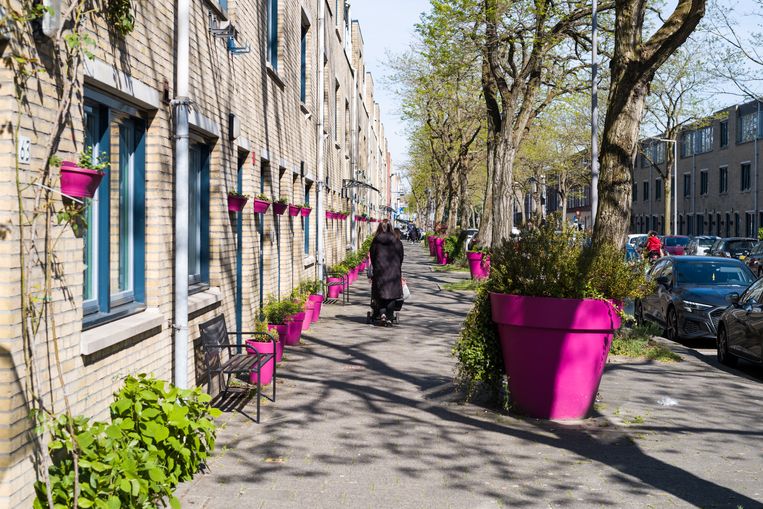 Aan de Riederlaan in Rotterdam heeft de gemeente plantenbakken neergezet, die door buurtbewoners worden onderhouden. Beeld Boudewijn Bollmann