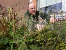 Zo maak je je tuin groener en klimaatproof: 10 tips van een prof