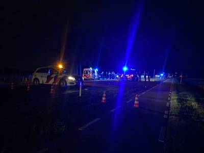 Auto ramt 2 paarden: Vliegveldstraat bij Deurningen in beide richtingen dicht