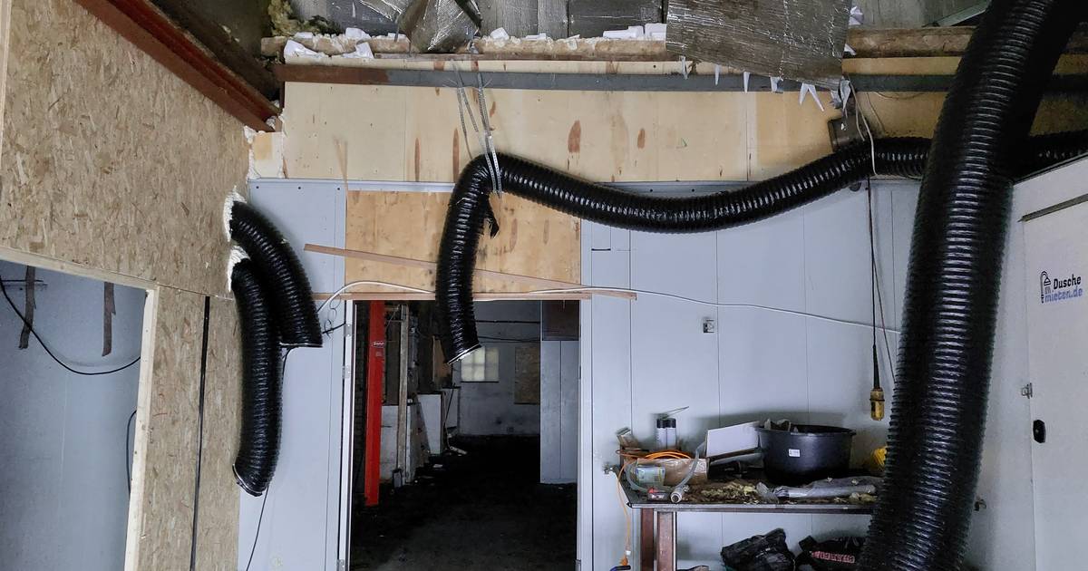 Acht Colombiaanse cokewassers in zijn loods, maar Hennie (70) uit Overdinkel ‘wist van niets’