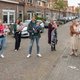 In de Zwolse Cliviastraat: 8 baby's binnen 9 maanden