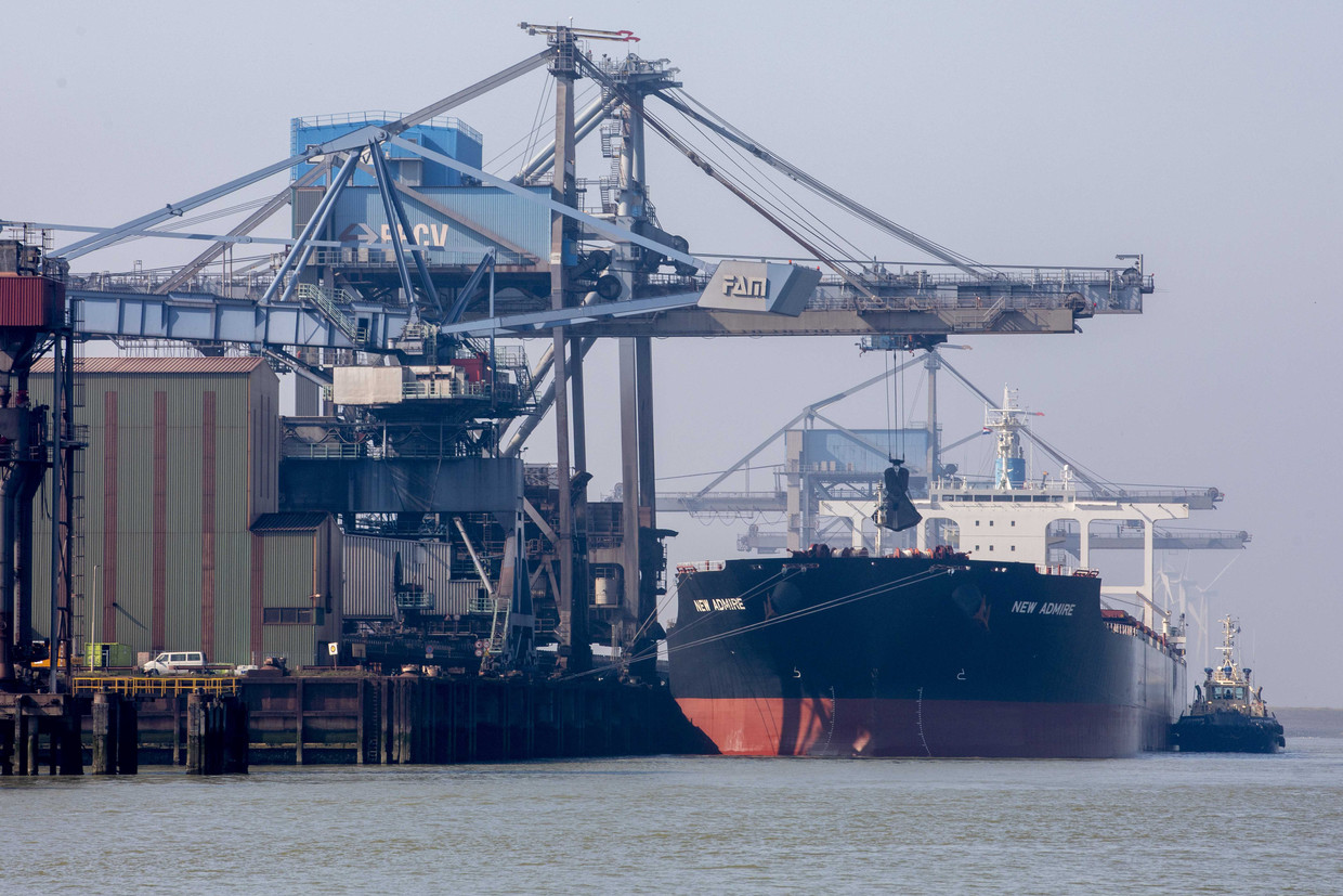 Een vrachtschip in de Rotterdamse haven.  Beeld ANP