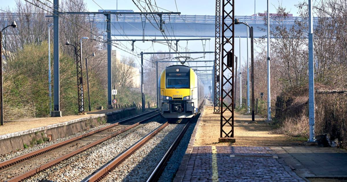 NMBS vuole attirare più viaggiatori con il rilancio di Duo Ticket |  l’interno