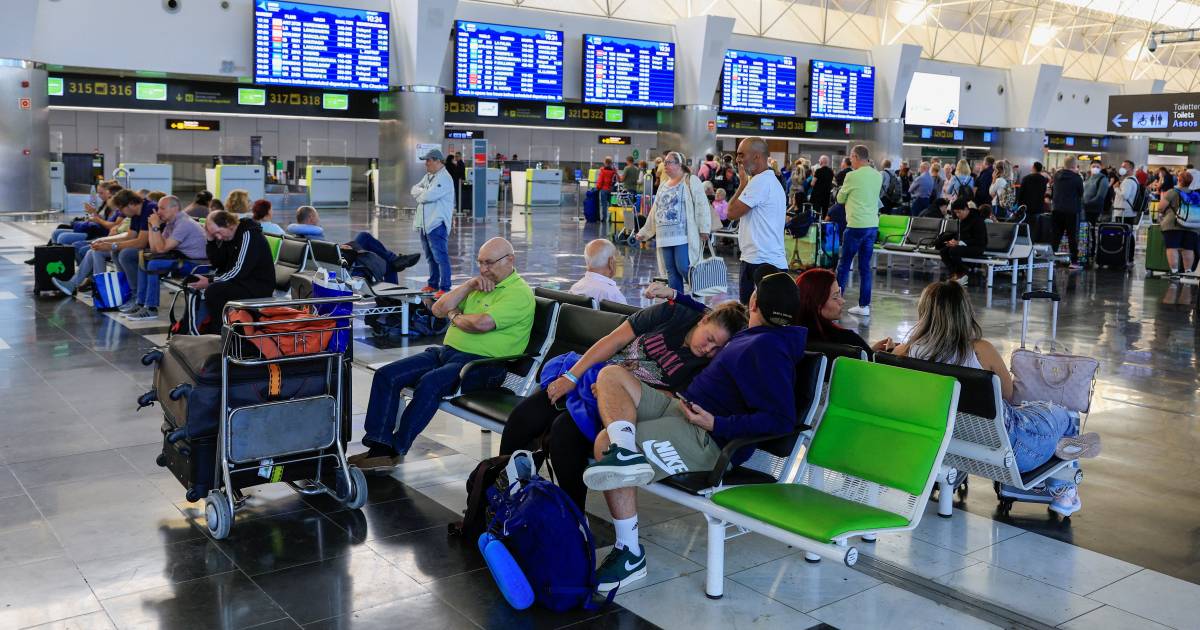 Voyageurs bloqués avec des heures de retard de retour de Gran Canaria: «Nous sommes complètement dévastés» |  Intérieur
