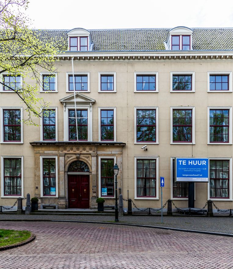 De lege stadspaleizen op Lange Voorhout