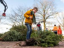 Alternatieve kerstboominzameling levert record op in Roosendaal