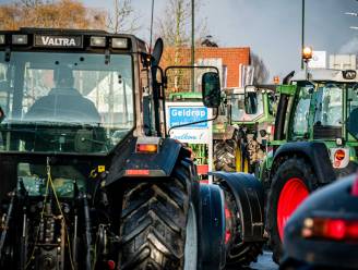 Nederlandse boeren blokkeren ijsbedrijf van kamerlid Romke de Jong