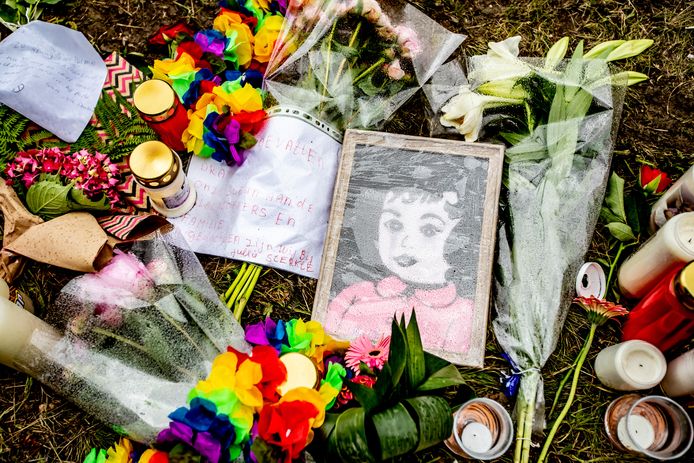 Het OM vervolgt Heerlenaar Danny S. voor het veroorzaken van een ongeval met dodelijke afloop en het doorrijden daarna.