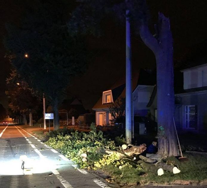 In Vlierzele gebeurde een ongeval nadat een tak van een boom afwaaide.
