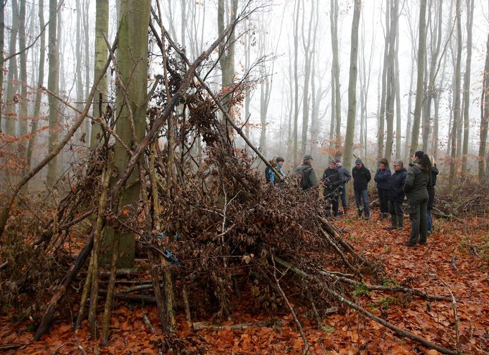 De natuur in de Strijdersgatpolder wordt een uitbreiding van het al bestaande Erasmusbos bij Nieuwvliet.