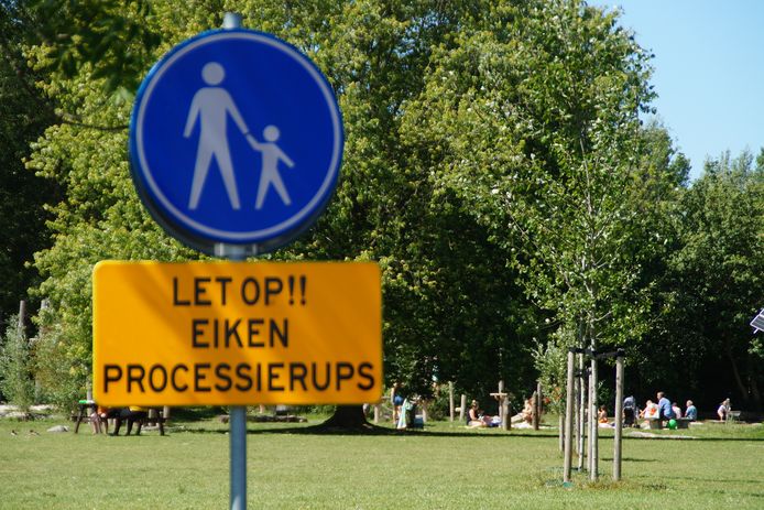 De jeukrups kan recreanten flink ziek maken.