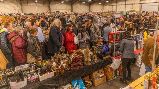 Schuifelend op zoek naar dat ene mooie kopje of beeldje: de vlooienmarkt in Goes is in trek