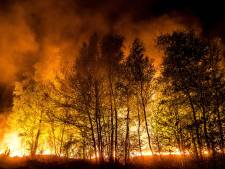 Gortdroog en veel wind: verhoogd risico op nieuwe natuurbranden in Brabant