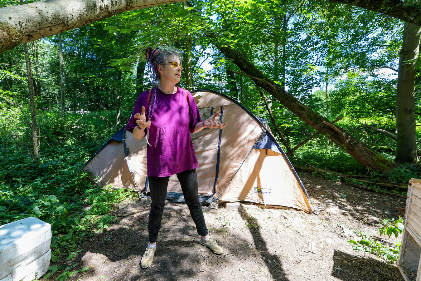 Daklozencamping Ontruimd Na Reeks Incidenten Zonde Het Leek Wel Een 